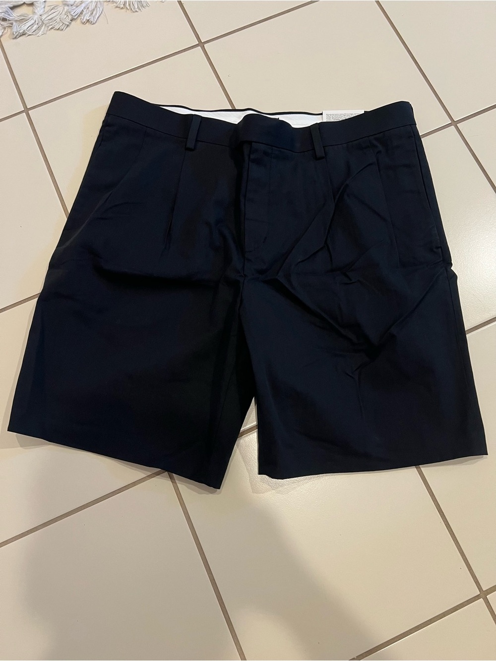 Pleated Relaxed Fit Shorts